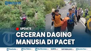 🔴GEGER CECERAN DAGING MANUSIA DI PACET MOJOKERTO, Ada Potongan Telapak Sampai Mata Kaki