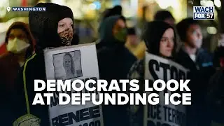 Democrats Call to Defund ICE After Minneapolis Shooting