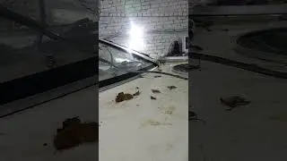 Через что в катер течет вода