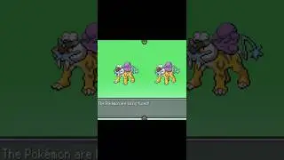 Raikou + Raikou Pok&eacute;mon Fusion #pokemon #fusion #shorts