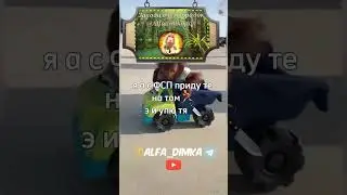 А вы боитесь свата?#doxbin #deanon #dox #swat #tiktok #monkey #обезьяна #funnyimages #мем #shorts