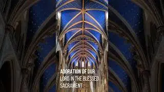 Notre-Dame Cathedral Basilica, Ottawa, Canada 🇨🇦