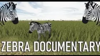 💥 Animals Creators 🌏| | ⭐ Zebras Wildlife 🦓🦓 Zebra Activities|  #wildanimals #animals