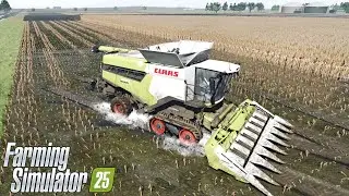 FS25 Realistic Graphics | MAIZE HARVEST in extreme wet soil conditions | Claas Lexion 8600 | Reshade