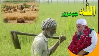 tawhan je rozi zmin mim likyal aahy, dilbar sain