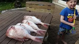 SharkerZ Fishing Videos - NZKFG open invite
