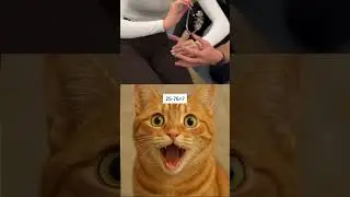 #yosho