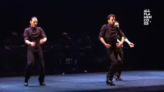 Flamenconautas 