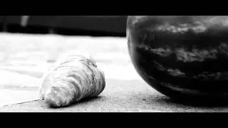 Melondrama   Emerson College 48 Hour Film Festival 2016   TOP 10 FILM