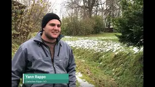 Christbaum im Topf mieten bei der Gartenbau Rappo AG &ndash; mit Liefer- und Abholservice