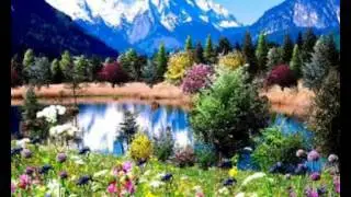 SPRING  LANDSCAPES