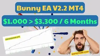 Bunny EA V2.2 MT4 Review | FX STORE EA