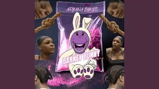 Barney Bunny