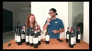 Splash Wines unboxing and pricing review [wine subscription and delivery]