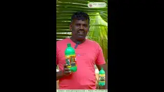 [ MALAYALAM ] Coconut Farmer Mr. Rajesh from Tirunelveli Shares His Results!