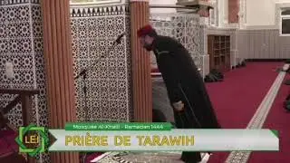 قراءة مغربية، من @مسجد_الخليل )بروكسيل
