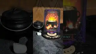 Happy Samhain! Witches&rsquo; Wisdom