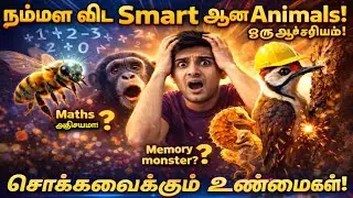 நம்மள விட Smart ஆன Animals! 😳 | Shocking Nature Facts Tamil