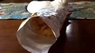 Home Away From Home Part 1: Lay's Cheddar Bacon Mac & Cheese Potato Chips