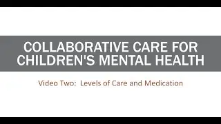 Collaboration: Parent, School, Provider - Part 2: Levels of Care and Medication