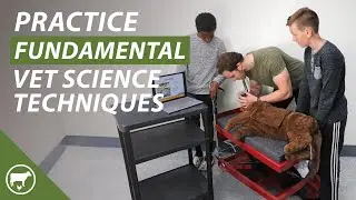Tools for Teaching Vet Science Foundational Skills