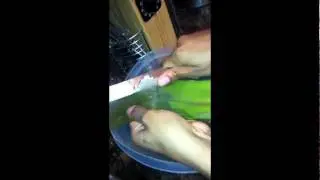 Natural Hair| Raw Aloe Vera Leaf