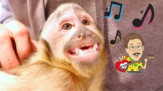 MonkeyHappy - You Make Me Happy (Official Music Video)