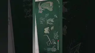 #board #drawing #garchar #nayna .