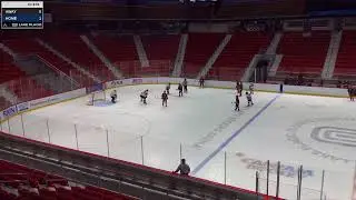 Woolwich Wild goals in Lake Placid gold medal game