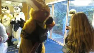 Shy Girl Meets Telephone at ANE
