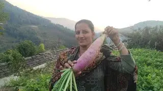 Hmare ssural ki mulli