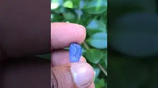 Unheated Blue Sapphire 💎 ( Subscribe me ) #srilankagems #rathnapura #gemstone #shorts