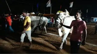 తాడూరు సీనియర్ విభాగం బండలాగుడు పోటీలు 18వ జత బాపటి కొండారెడ్డి & వైకుంఠ రమేష్ నాయుడు