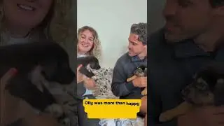 Actor Olly Rix visits Dogs Trust Cardiff! | Dogs Trust