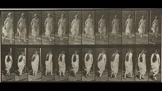 Animal Locomotion: Plates # 71-80 (1884-1887) by Eadweard Muybridge