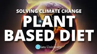 Climate Change Solution: Plant Based Diets | How To Solve Climate Change Course