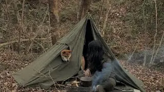 【Polish army lavvu tent】Camping with my Shiba inu