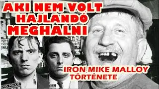 AKI NEM VOLT HAJLAND&Oacute; MEGHALNI - IRON MIKE MALLOY D&Ouml;BBENETES T&Ouml;RT&Eacute;NETE - A vil&aacute;g legbrut&aacute;labb 258.