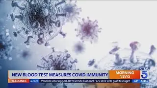 New blood test measures COVID immunity