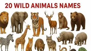 जंगली जानवरों के नाम | 20 Wild Animals Name | janvaron ke naam