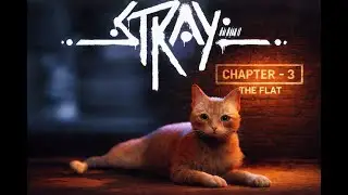 Stray  | Chapter - 3 | PS 5 Gaming | Scarletislive