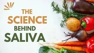 The Science behind Saliva: How It Impacts Flavor Perception