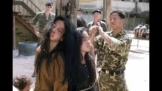 Kitaro - Heaven & Earth (Land Theme) HCP - Film de Oliver Stone 