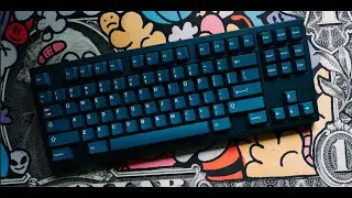 ai03 Andromeda TKL Typing ASMR / 영삼 안드로메다 타건