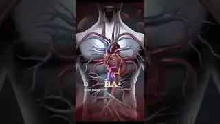 ❤️biology lover❤️ short viral videos # science facts 22 # #scienceengagement
