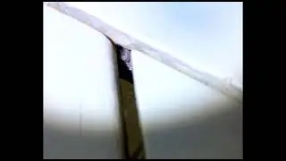 Abeja que hace nidos con p&eacute;talos de flores