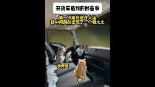 《北野货车》合集 含恐怖元素，请谨慎观看#猫meme #猫meme小剧场