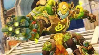 Terrasurge*