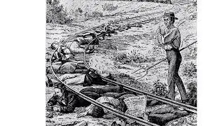 Rural Revolt & Populism 1865 - 1900