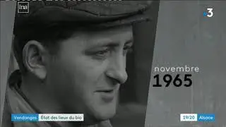 Archives : le vin bio en Alsace